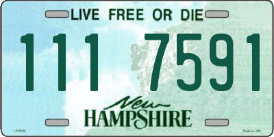 NH license plate 1117591