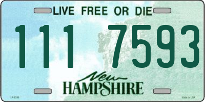 NH license plate 1117593