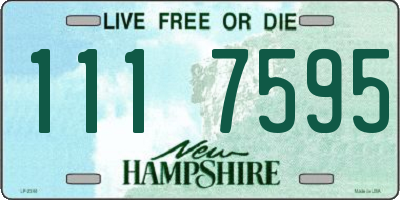 NH license plate 1117595