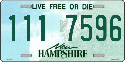 NH license plate 1117596