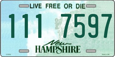 NH license plate 1117597