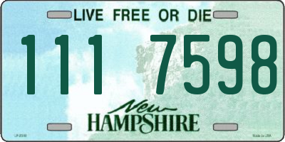 NH license plate 1117598