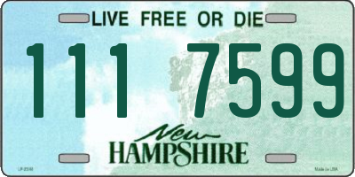 NH license plate 1117599