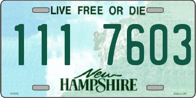 NH license plate 1117603