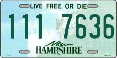 NH license plate 1117636