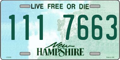 NH license plate 1117663