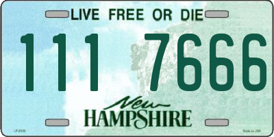 NH license plate 1117666