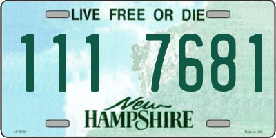 NH license plate 1117681