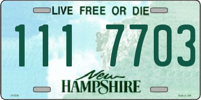 NH license plate 1117703
