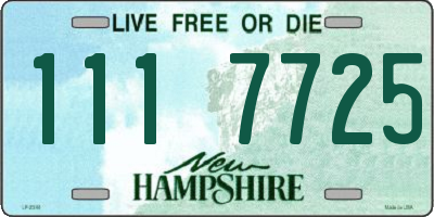NH license plate 1117725