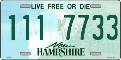 NH license plate 1117733