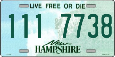 NH license plate 1117738