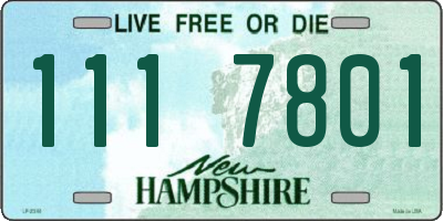 NH license plate 1117801