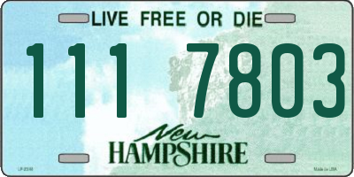 NH license plate 1117803