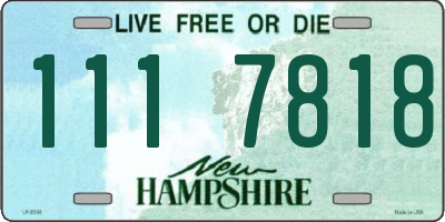 NH license plate 1117818