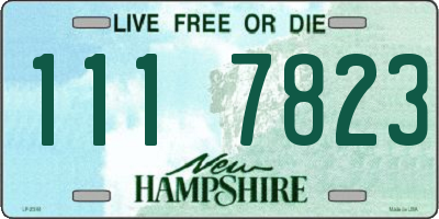 NH license plate 1117823