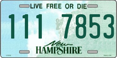 NH license plate 1117853