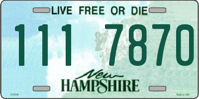 NH license plate 1117870