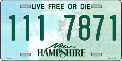 NH license plate 1117871