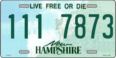 NH license plate 1117873