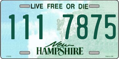 NH license plate 1117875