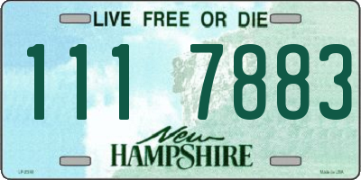 NH license plate 1117883