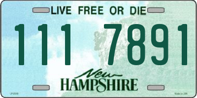 NH license plate 1117891