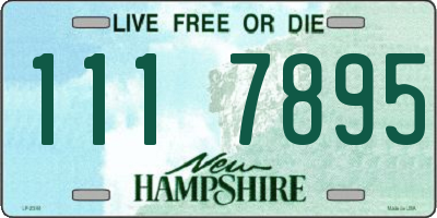 NH license plate 1117895