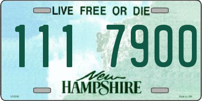 NH license plate 1117900