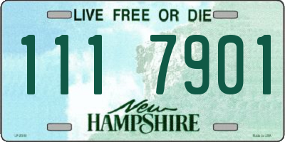 NH license plate 1117901