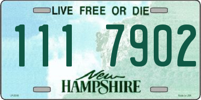 NH license plate 1117902