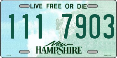 NH license plate 1117903