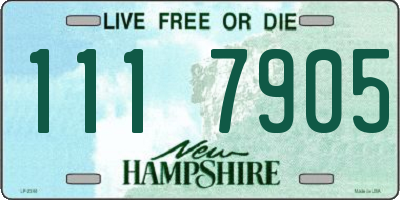 NH license plate 1117905