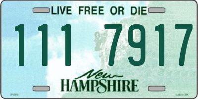 NH license plate 1117917