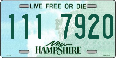 NH license plate 1117920