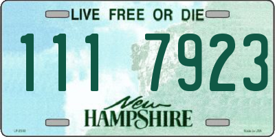 NH license plate 1117923