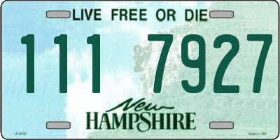 NH license plate 1117927
