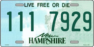 NH license plate 1117929
