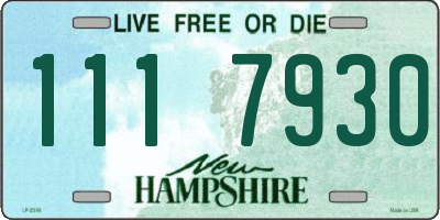 NH license plate 1117930