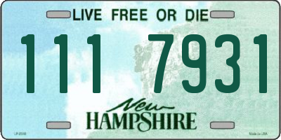 NH license plate 1117931