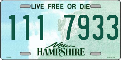NH license plate 1117933
