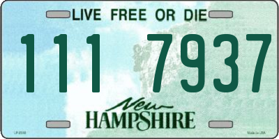 NH license plate 1117937