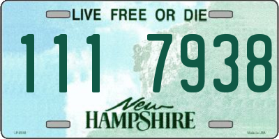 NH license plate 1117938