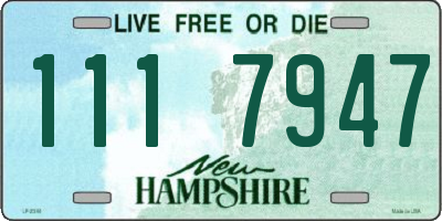 NH license plate 1117947