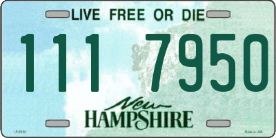 NH license plate 1117950