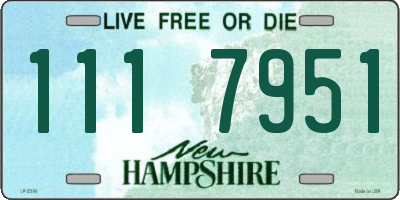 NH license plate 1117951