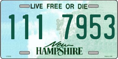 NH license plate 1117953