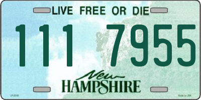NH license plate 1117955