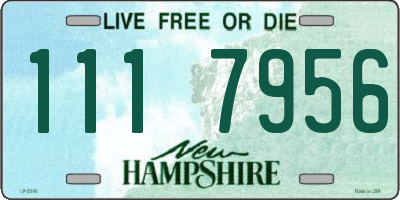NH license plate 1117956
