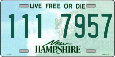 NH license plate 1117957